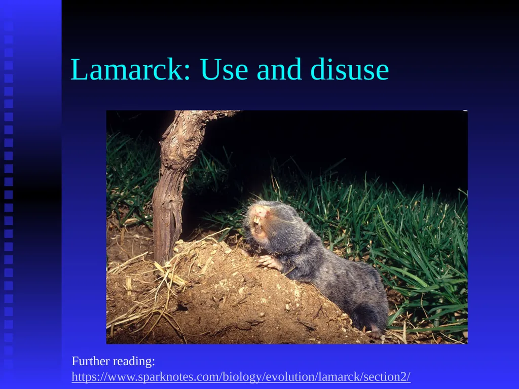 EVOLUTION Chapter 13.1 Charles Darwin Darwin’s - slide 33 of 53