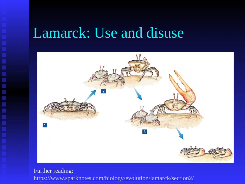 EVOLUTION Chapter 13.1 Charles Darwin Darwin’s - slide 34 of 53