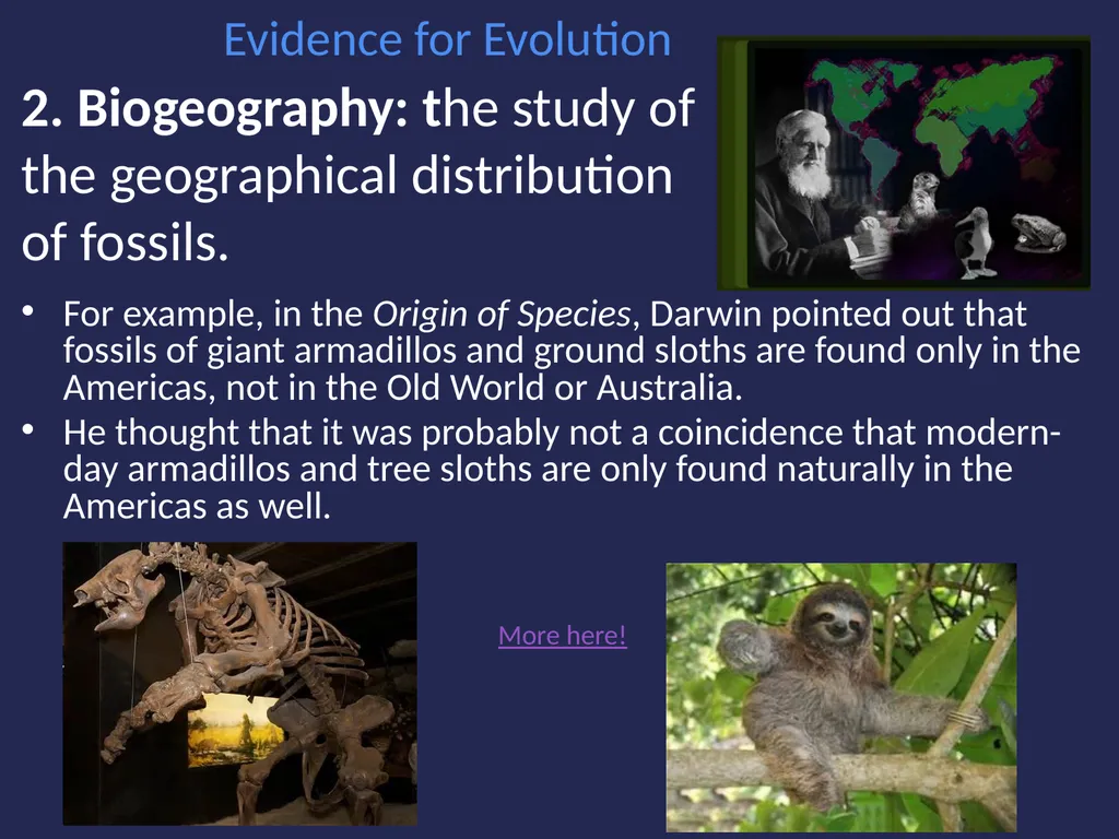 Evolution It’s a Family Affair Diversity and - slide 14 of 37