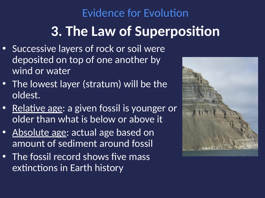 Evolution It’s a Family Affair Diversity and - slide 15 of 37