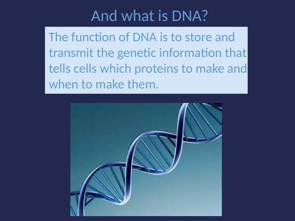 Evolution It’s a Family Affair Diversity and - slide 27 of 37