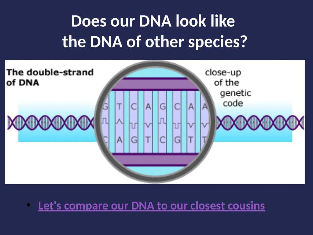 Evolution It’s a Family Affair Diversity and - slide 28 of 37