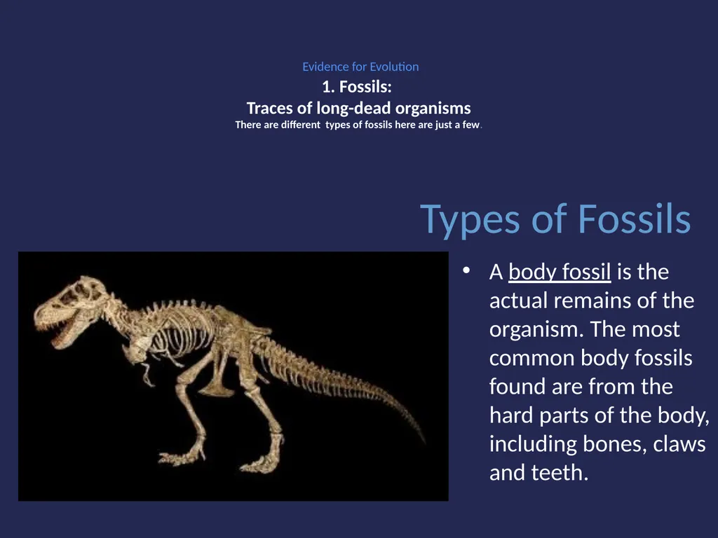 Evolution It’s a Family Affair Diversity and - slide 8 of 37
