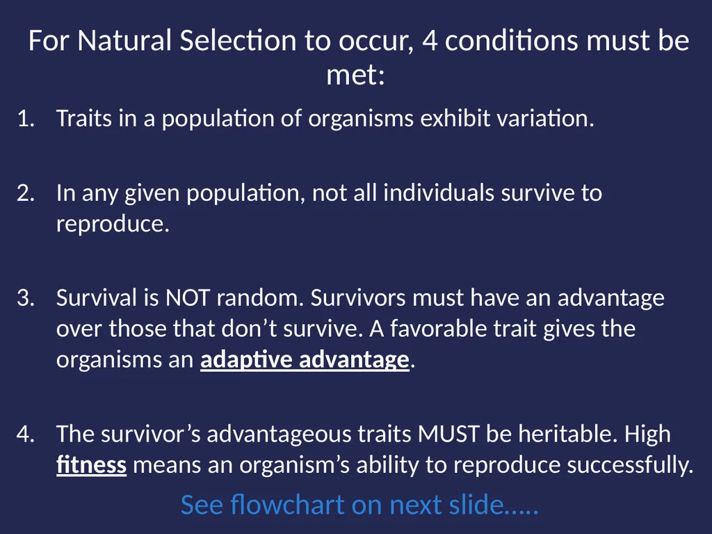 Evolution It’s a Family Affair Diversity and - slide 32 of 37