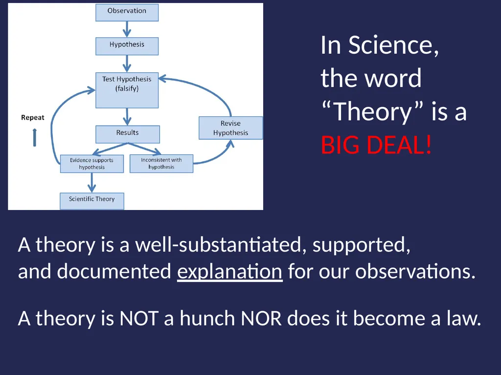 Evolution It’s a Family Affair Diversity and - slide 6 of 37