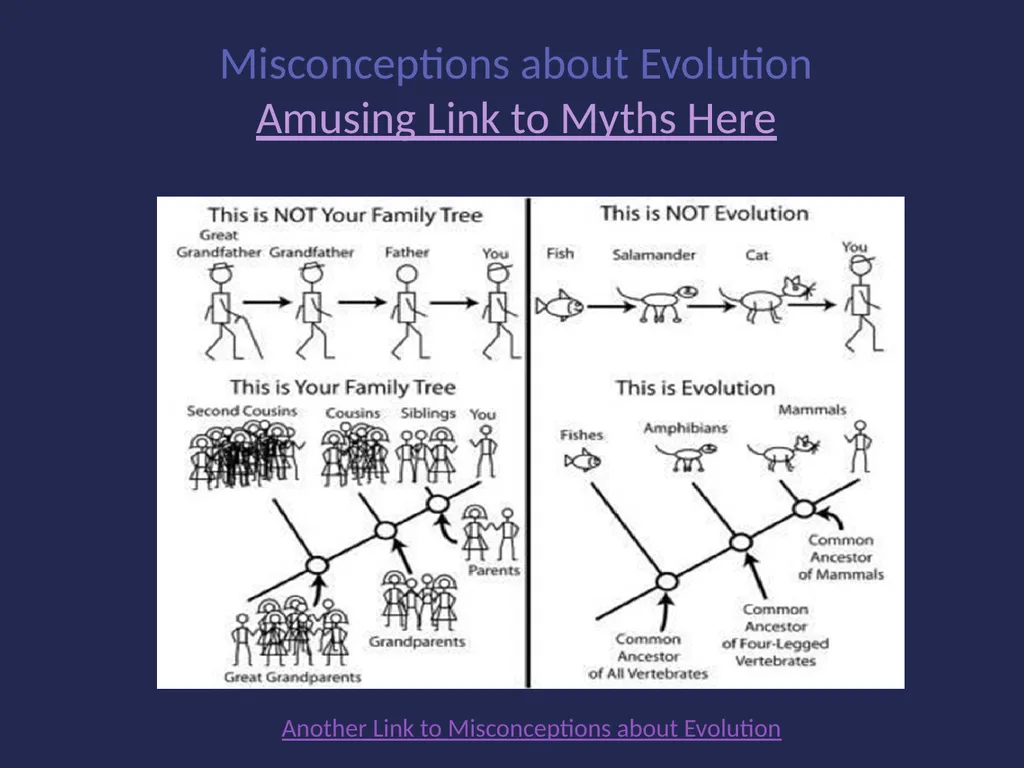 Evolution It’s a Family Affair Diversity and - slide 35 of 37