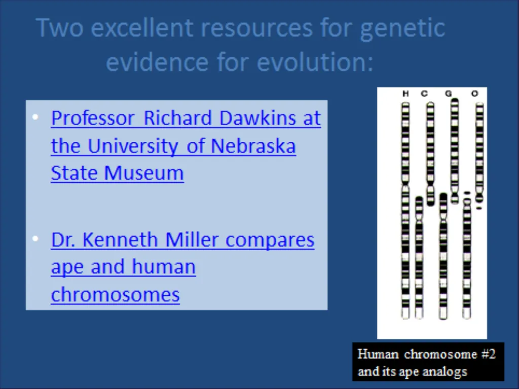 Evolution It’s a Family Affair Diversity and - slide 30 of 37