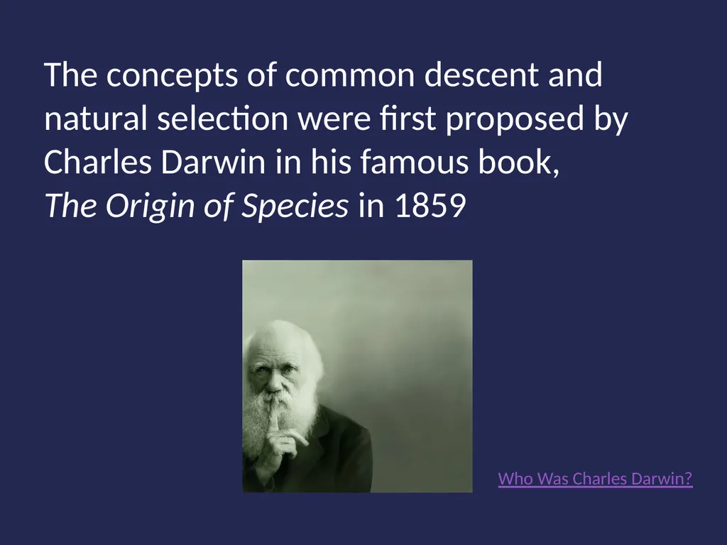 Evolution It’s a Family Affair Diversity and - slide 4 of 37
