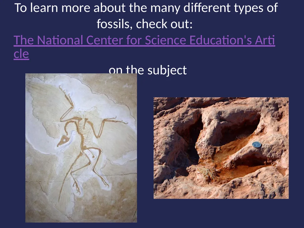 Evolution It’s a Family Affair Diversity and - slide 13 of 37