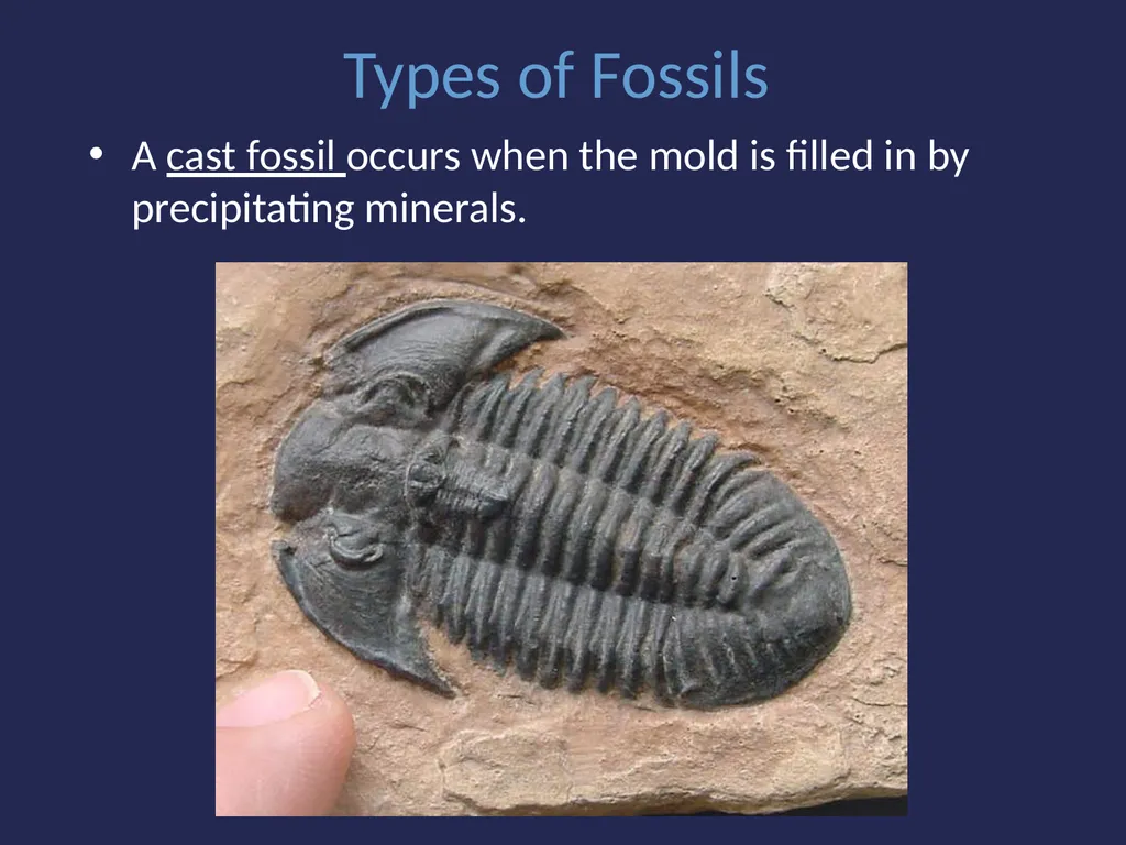 Evolution It’s a Family Affair Diversity and - slide 10 of 37