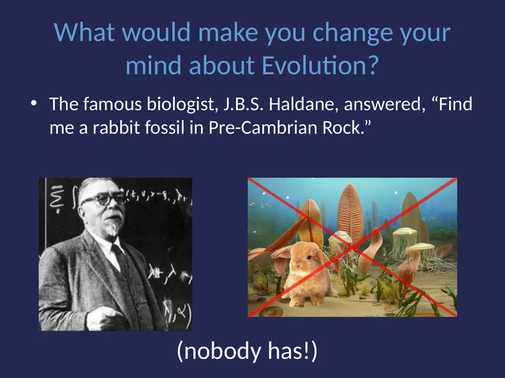 Evolution It’s a Family Affair Diversity and - slide 17 of 37