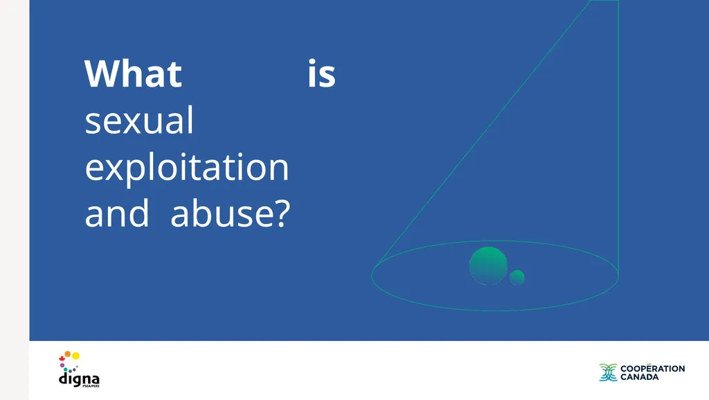 Training on prevention of sexual exploitation and - slide 9 of 39