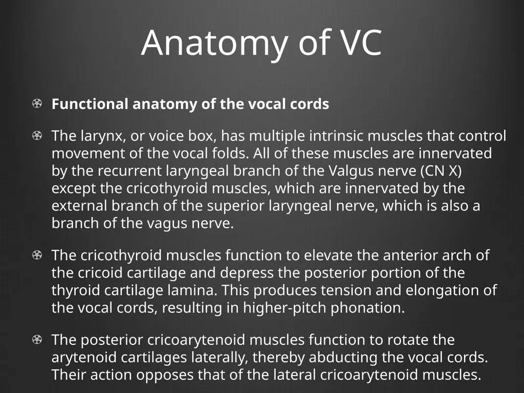 Dysphonia What A GP needs to know This is my - slide 16 of 20