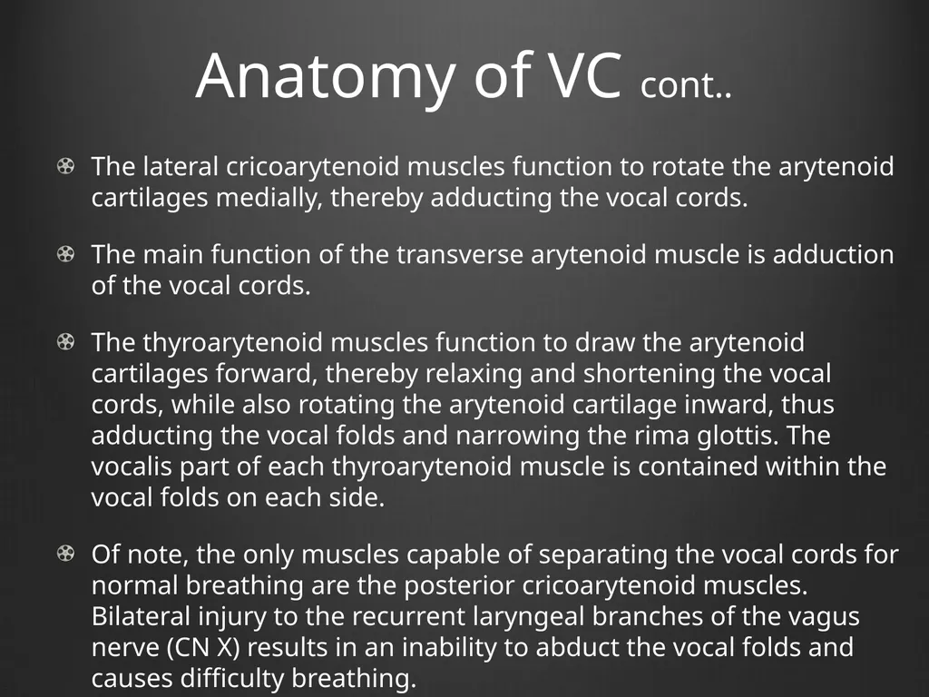 Dysphonia What A GP needs to know This is my - slide 17 of 20