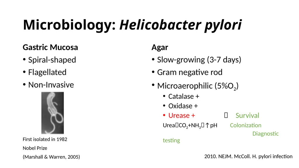 Helicobacter Pylori Infection Jaime Gallegos, MD - slide 4 of 41