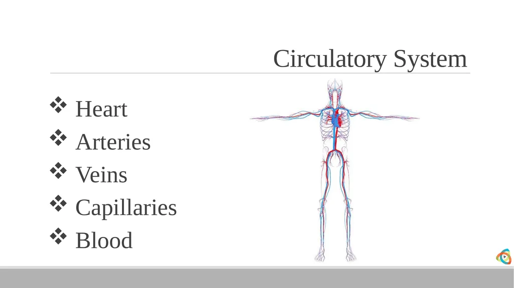 Alabama EMD Program Phase 2 Practitioner Course - slide 30 of 98