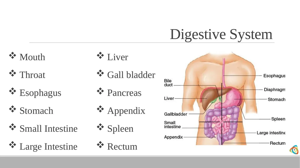 Alabama EMD Program Phase 2 Practitioner Course - slide 32 of 98