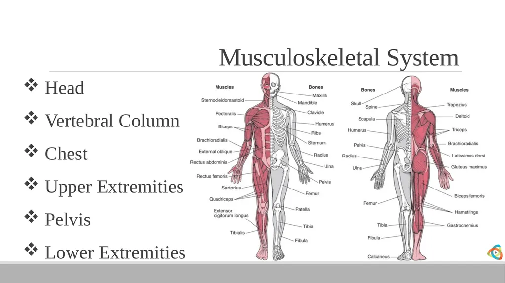 Alabama EMD Program Phase 2 Practitioner Course - slide 33 of 98