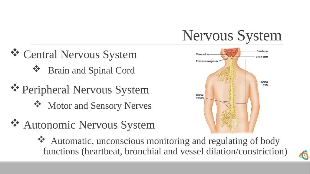 Alabama EMD Program Phase 2 Practitioner Course - slide 29 of 98
