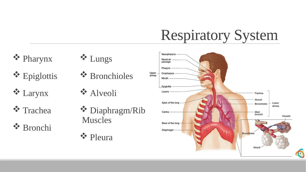 Alabama EMD Program Phase 2 Practitioner Course - slide 31 of 98