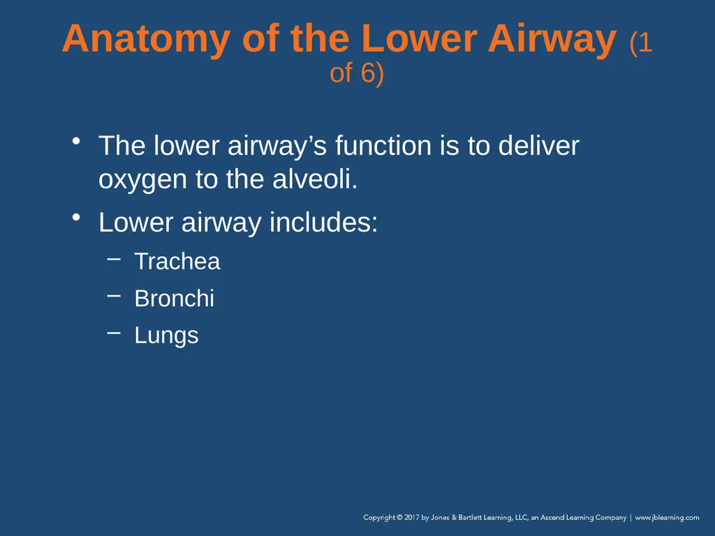 Chapter 10 Airway Management National EMS - slide 20 of 170