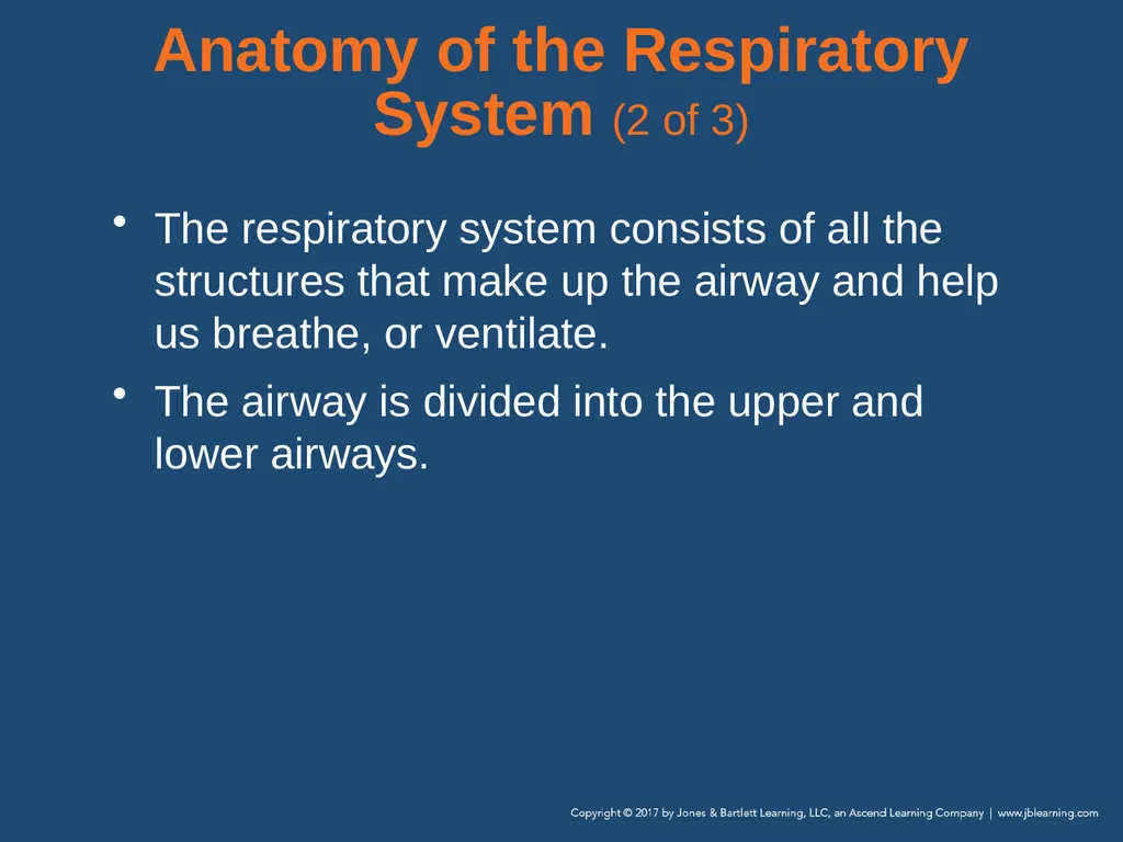 Chapter 10 Airway Management National EMS - slide 11 of 170