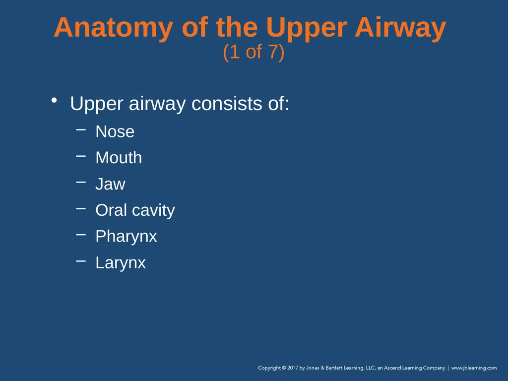 Chapter 10 Airway Management National EMS - slide 13 of 170