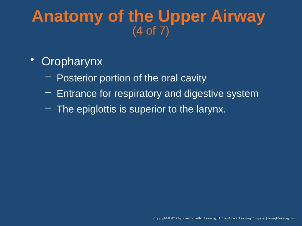 Chapter 10 Airway Management National EMS - slide 16 of 170