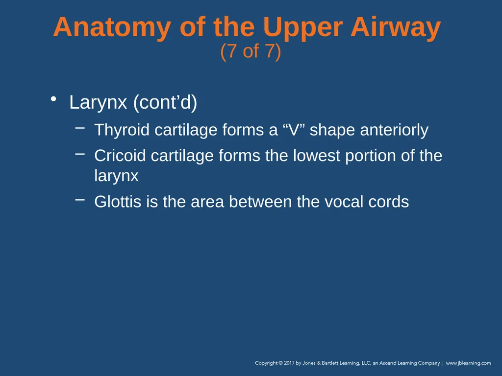 Chapter 10 Airway Management National EMS - slide 19 of 170