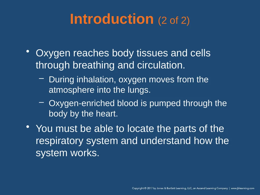 Chapter 10 Airway Management National EMS - slide 9 of 170