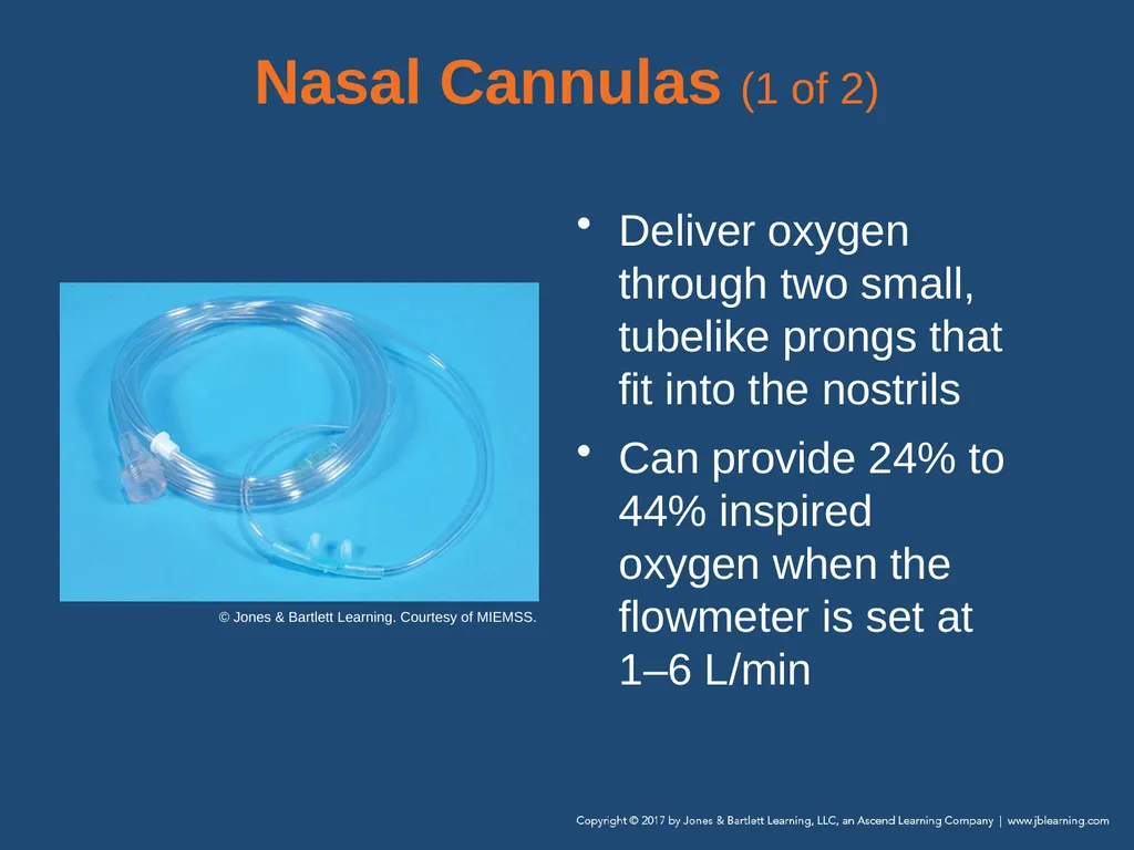 Chapter 10 Airway Management National EMS - slide 87 of 170