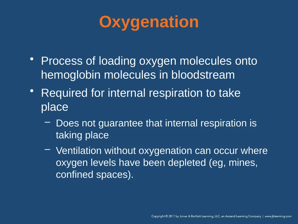 Chapter 10 Airway Management National EMS - slide 35 of 170
