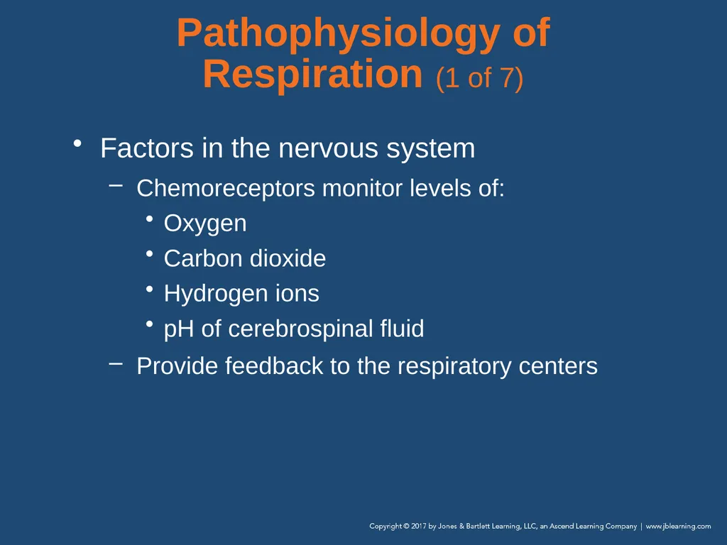 Chapter 10 Airway Management National EMS - slide 40 of 170