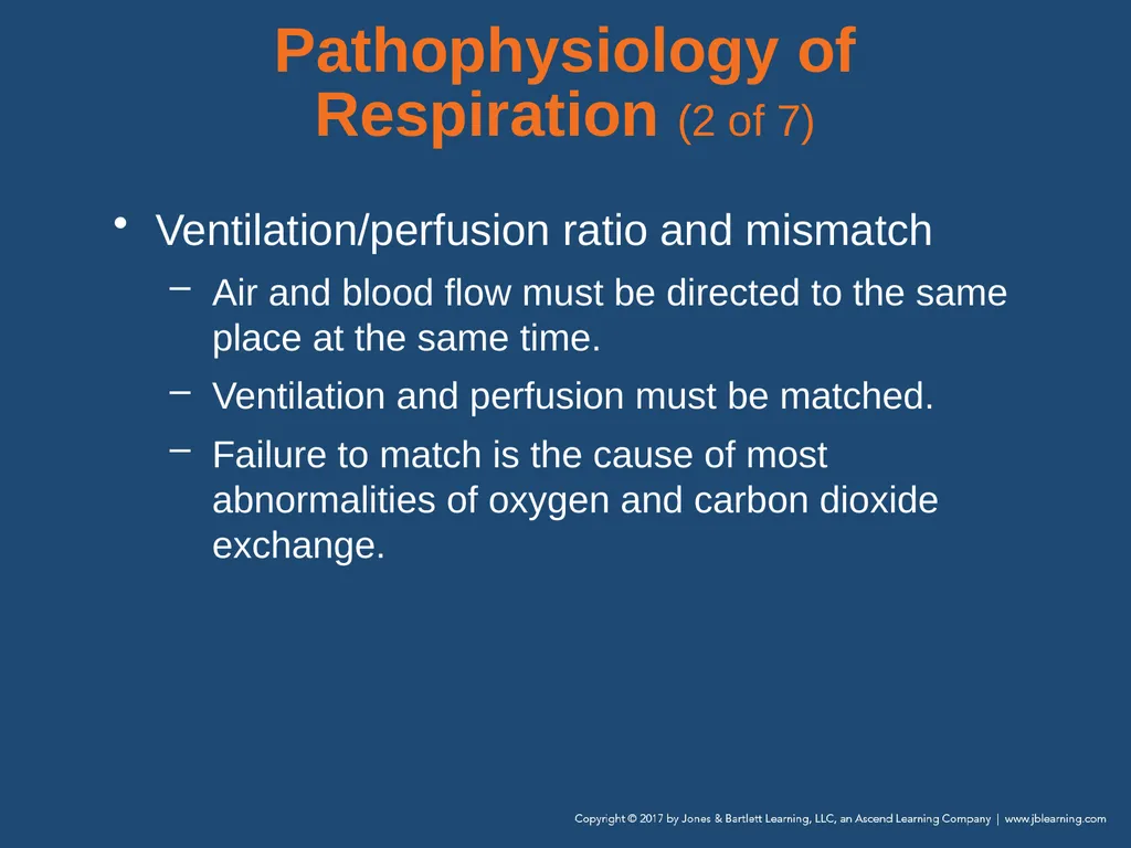 Chapter 10 Airway Management National EMS - slide 41 of 170
