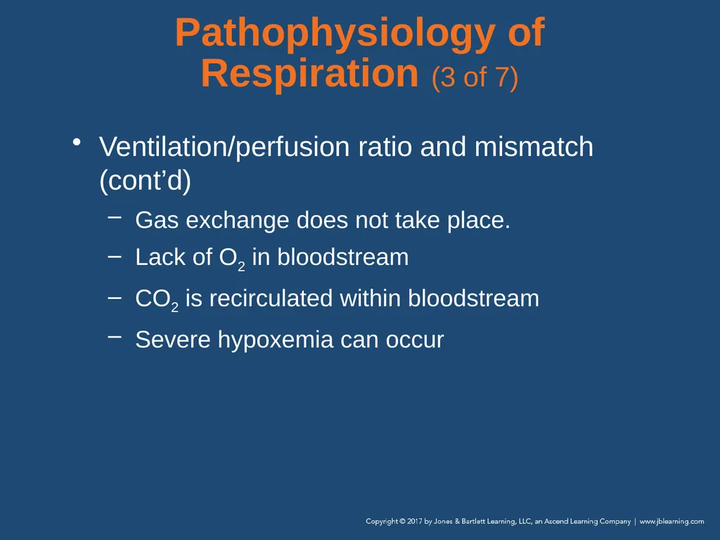 Chapter 10 Airway Management National EMS - slide 42 of 170