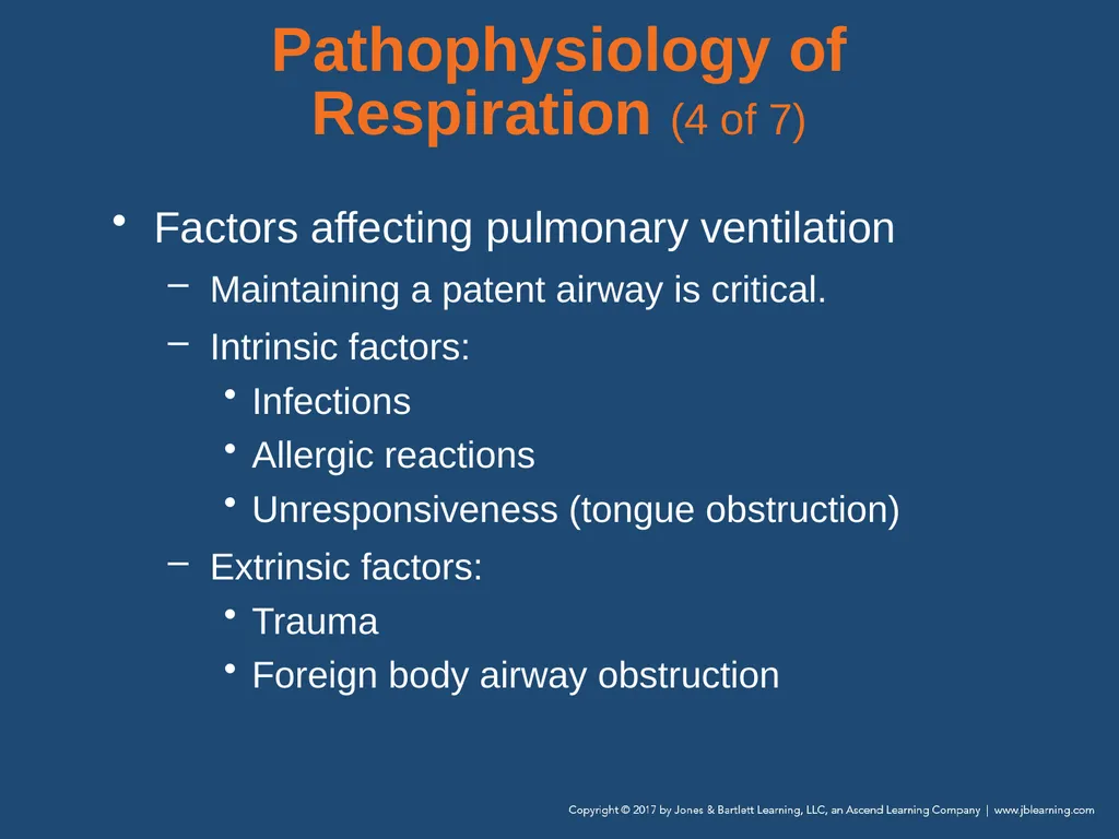 Chapter 10 Airway Management National EMS - slide 43 of 170
