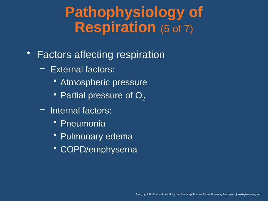 Chapter 10 Airway Management National EMS - slide 44 of 170