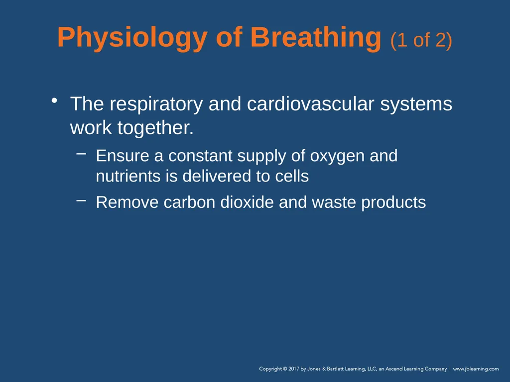 Chapter 10 Airway Management National EMS - slide 26 of 170