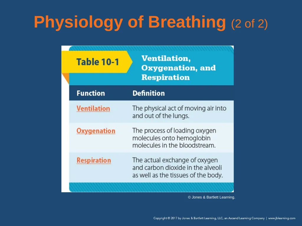 Chapter 10 Airway Management National EMS - slide 27 of 170