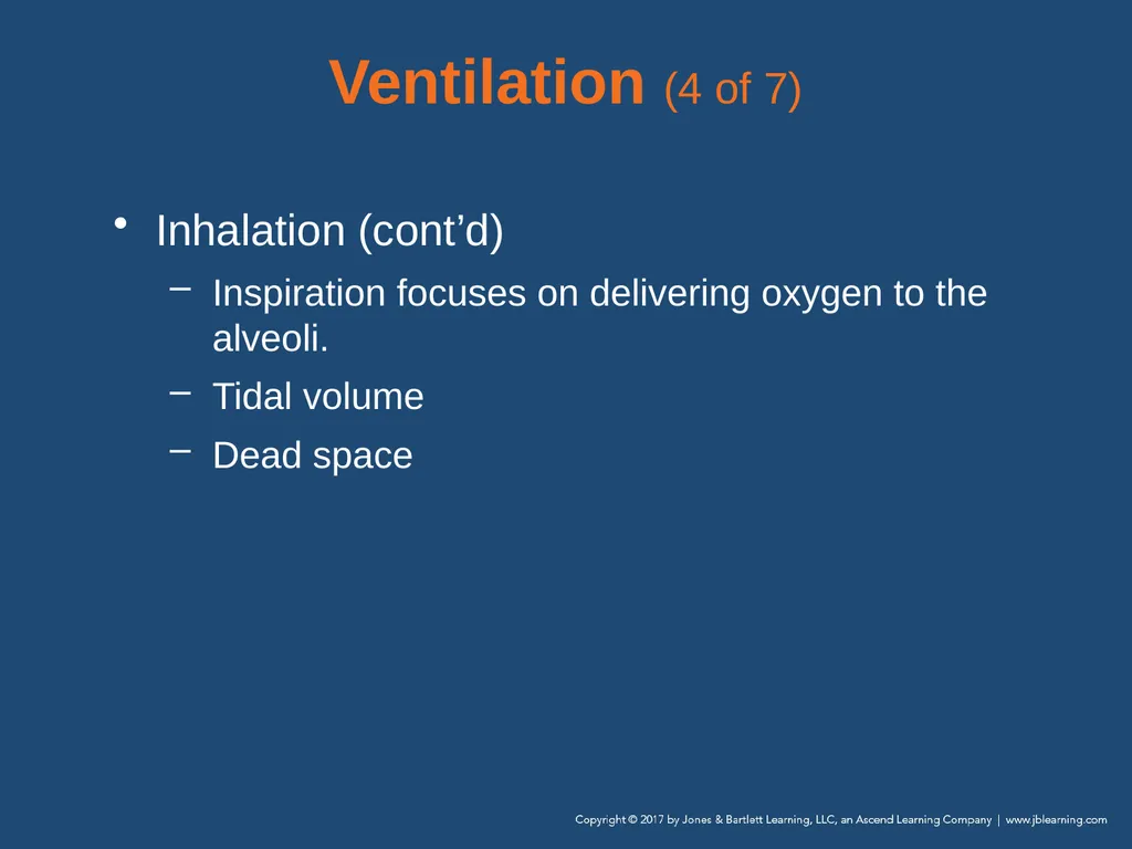 Chapter 10 Airway Management National EMS - slide 31 of 170