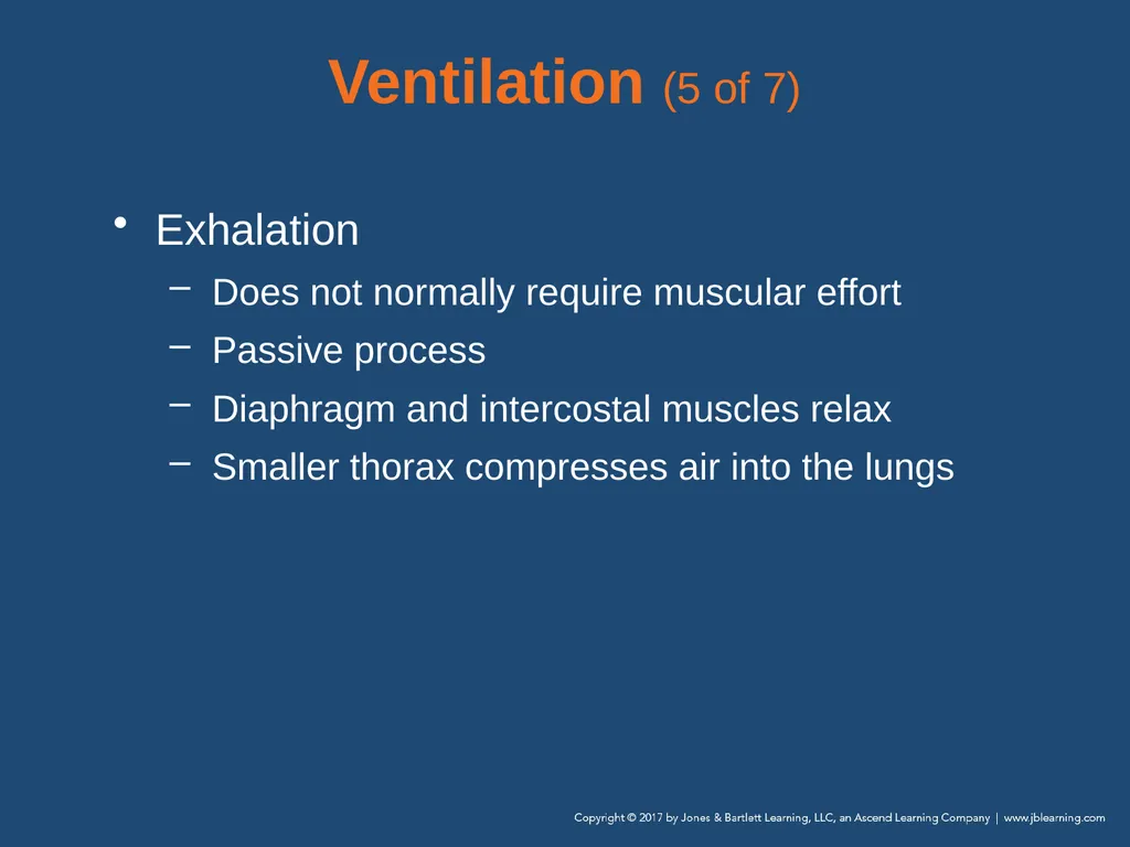 Chapter 10 Airway Management National EMS - slide 32 of 170