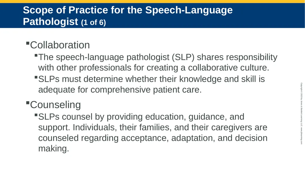 The Speech-Language Pathologist in Audiology - slide 3 of 21