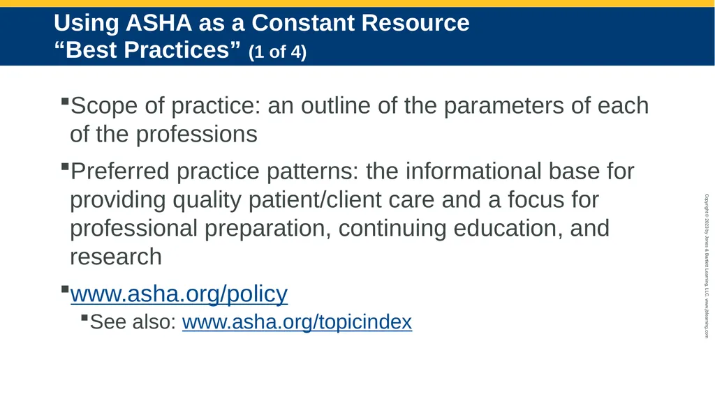 The Speech-Language Pathologist in Audiology - slide 17 of 21