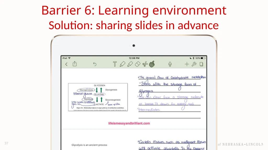 UNL Branding Reducing barriers to learning with - slide 37 of 46