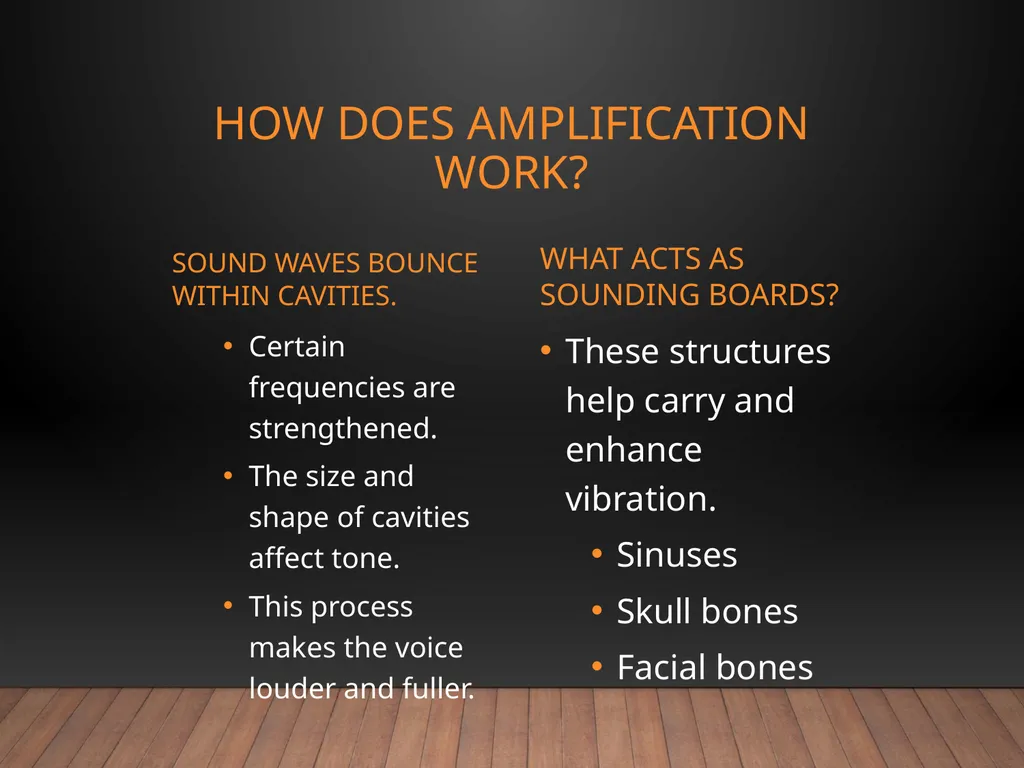 Speech Anatomy Phonation • Resonation • - slide 9 of 10