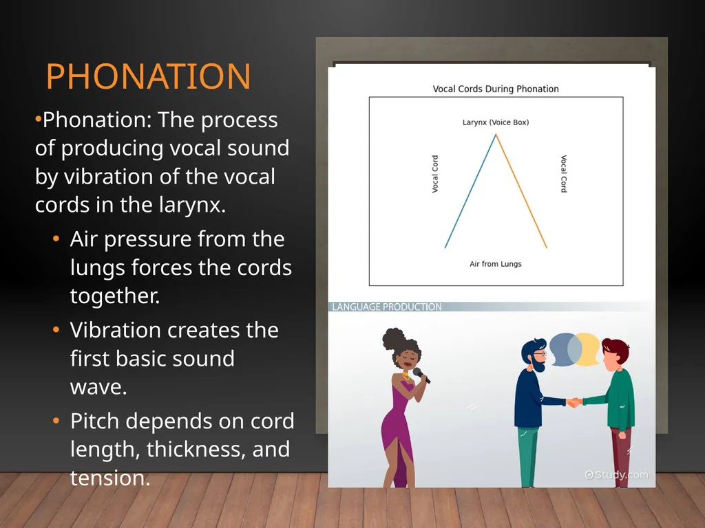 Speech Anatomy Phonation • Resonation • - slide 3 of 10