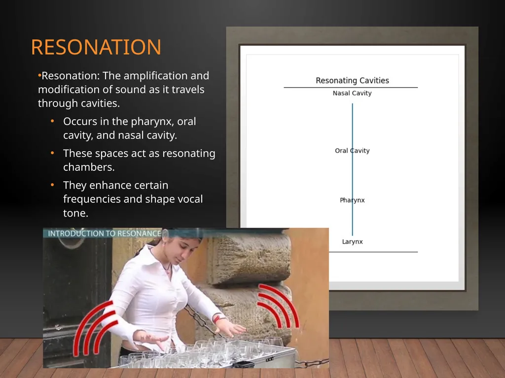Speech Anatomy Phonation • Resonation • - slide 4 of 10
