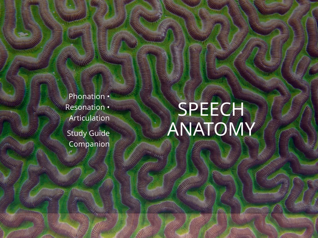 Speech Anatomy Phonation • Resonation • - slide 1 of 10