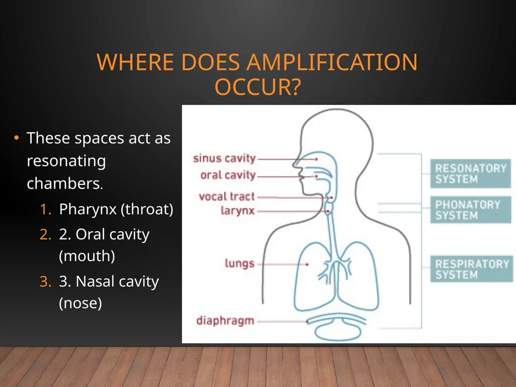 Speech Anatomy Phonation • Resonation • - slide 8 of 10
