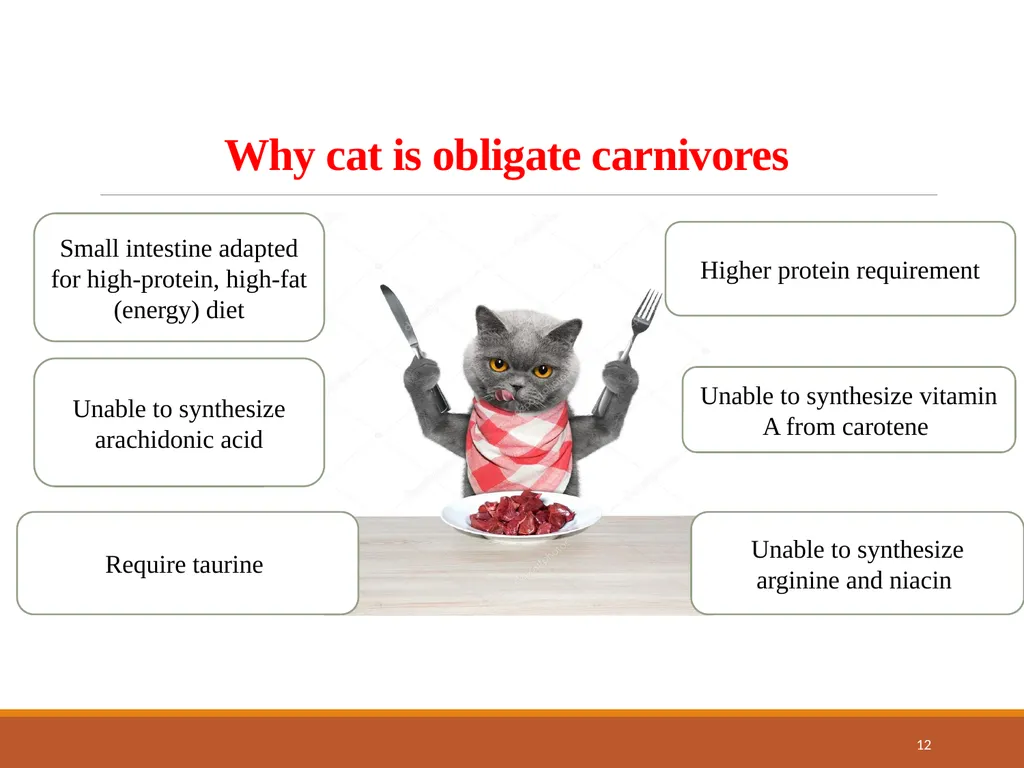 College of Veterinary Science & Animal Husbandry - slide 12 of 42